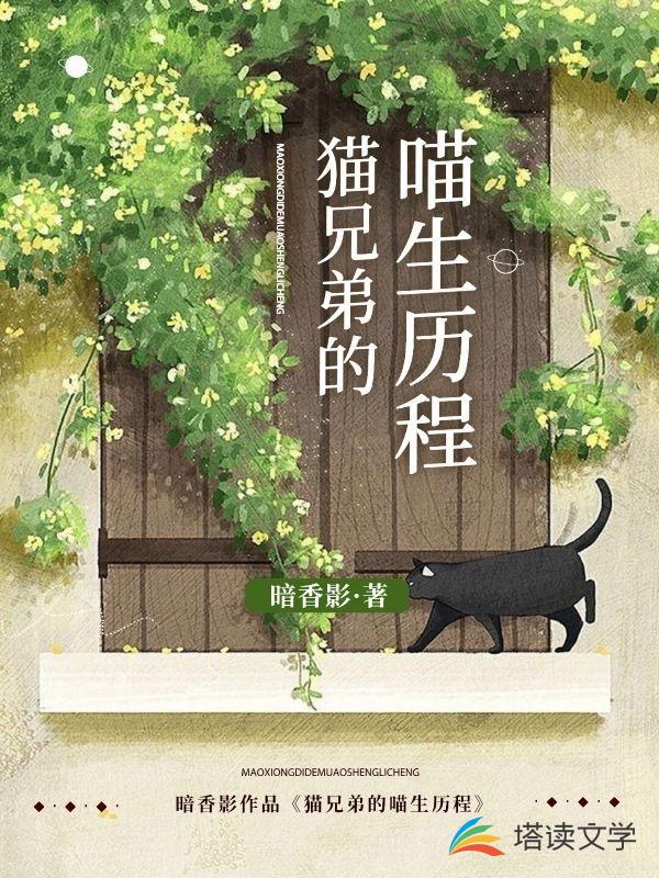 猫兄弟的喵生历程