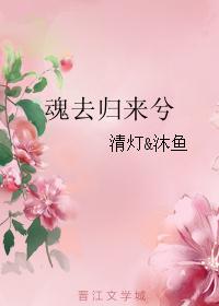 魂去归来兮