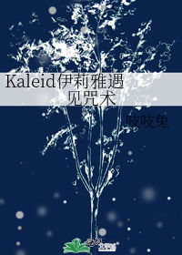 Kaleid伊莉雅遇见咒术