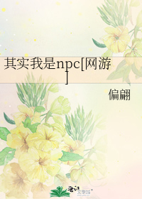 其实我是npc[网游]