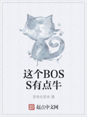 这个BOSS有点牛