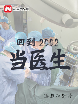 回到2002当医生小说