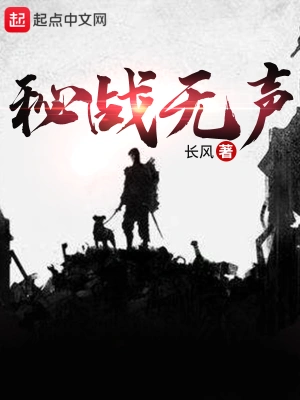 秘战无声电视剧免费版