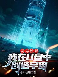 灵界始源，我在U盘中创造宇宙