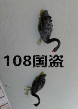 《108国盗》