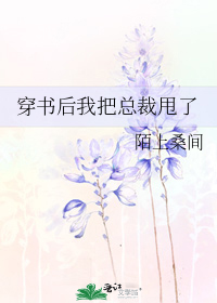 穿书后我把总裁甩了