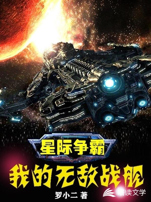 星际争霸：我的无敌战舰