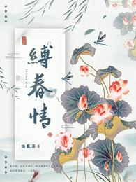 缚春情宋挽江晏