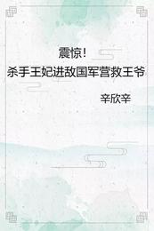 震惊！杀手王妃进敌国军营救王爷