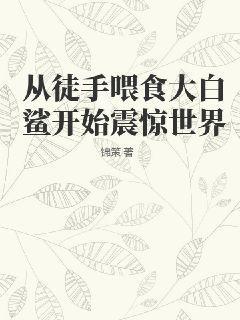 从徒手喂食大白鲨开始震惊世界从徒手喂食大白鲨开始震惊世界