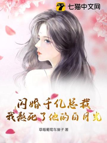 闪婚豪门，禁欲总裁夜夜证爱丛榕季霆秋