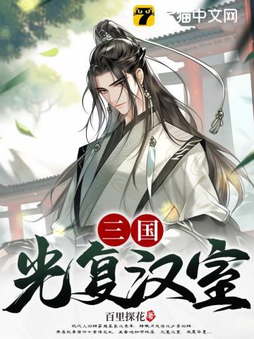 三国：光复汉室刘辩