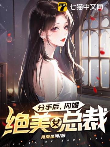 分手后，闪婚绝美女总裁叶枫苏青柠