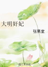 大明奸妃