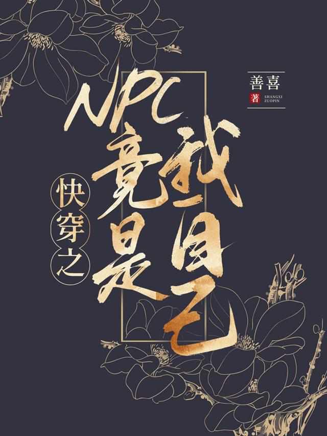 快穿之 npc 竟是我自己