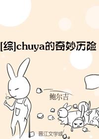 chuya的奇妙历险