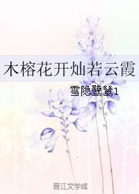 木榕花开灿若云霞