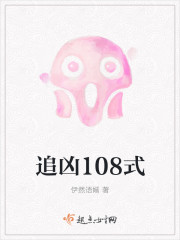 追凶108式