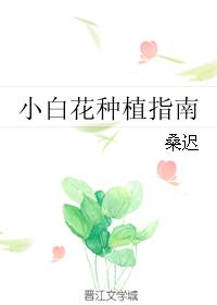 小白花种植指南