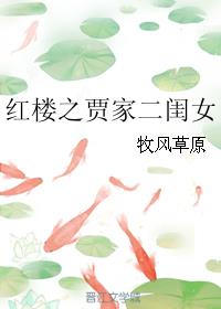 红楼之贾家二闺女