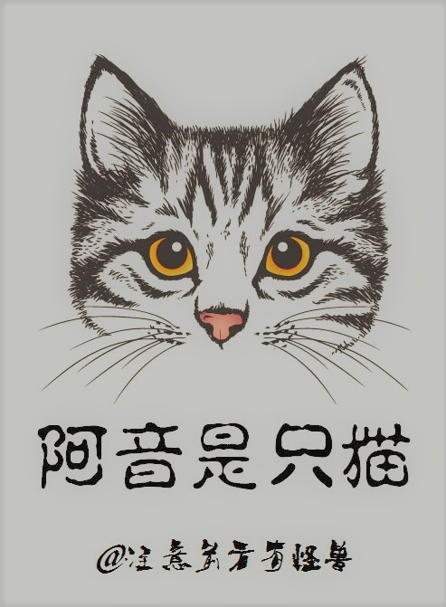 阿音是只猫