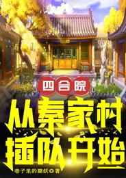 四合院：从秦家村插队开始岳枫