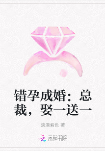 错孕成婚：总裁，娶一送一